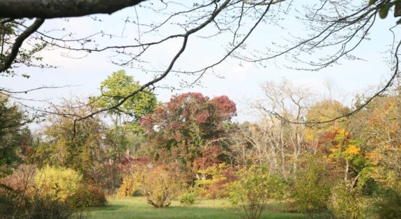 L'Arboretum des Barres