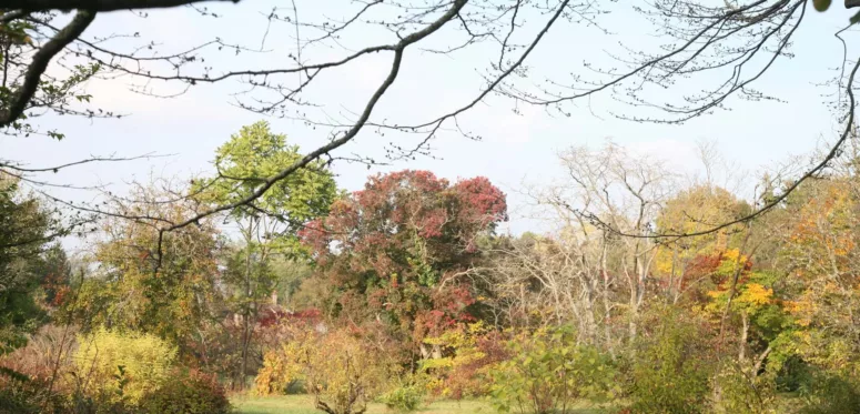 L'Arboretum des Barres