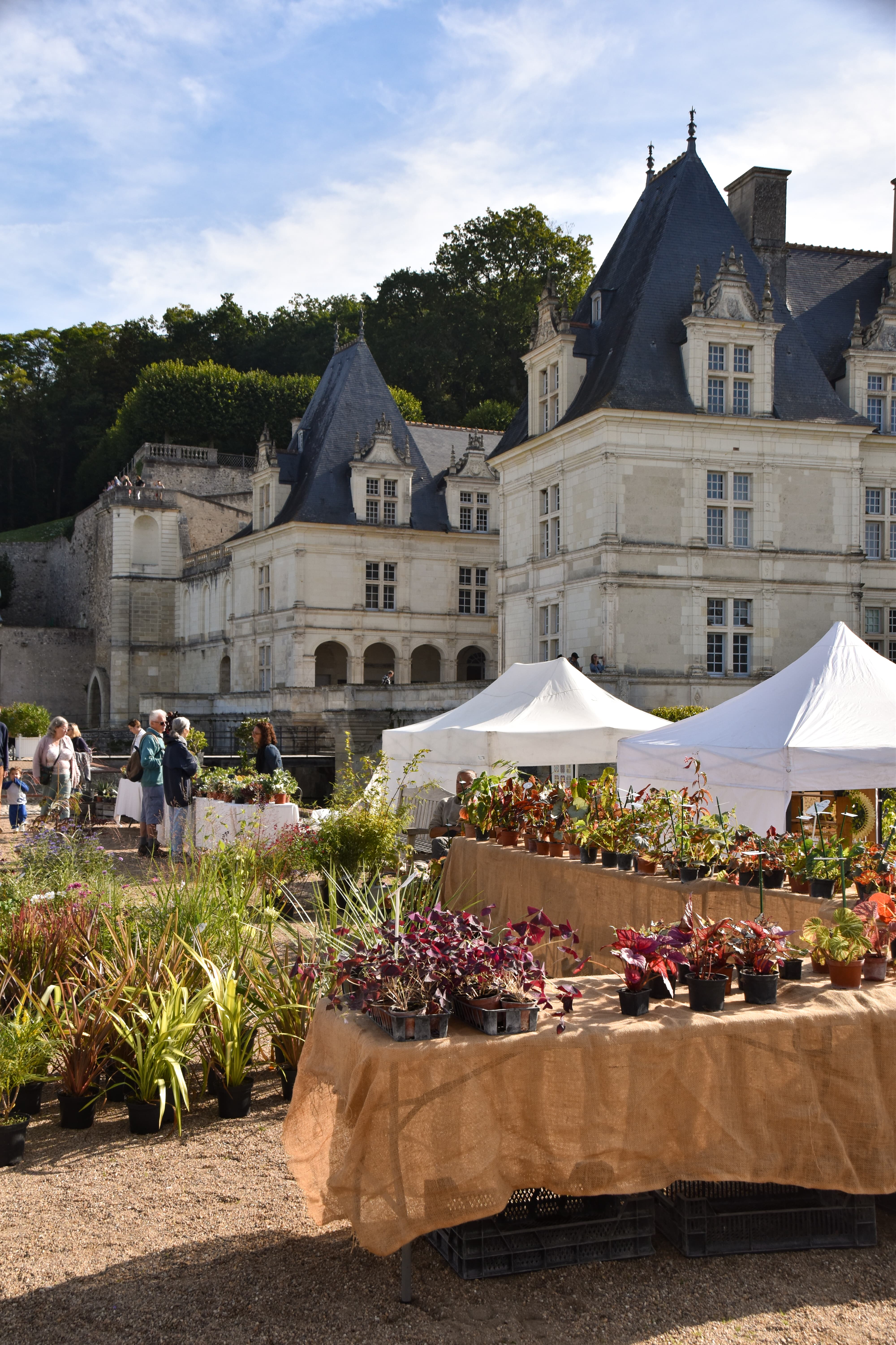 Journées du Potager, Château de Villandry - Photo Château de Villandry - Guillaumette Mourain (11)