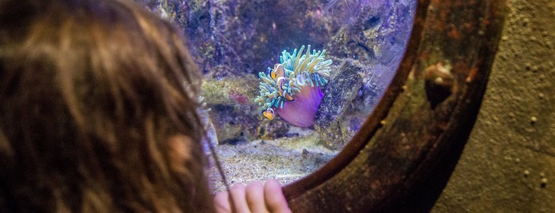 Grand Aquarium Touraine Amboise Vallée de la Loire