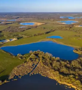 Parc des étangs de la Brenne dans l'Indre