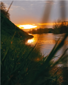 Bords de Loire Orléans