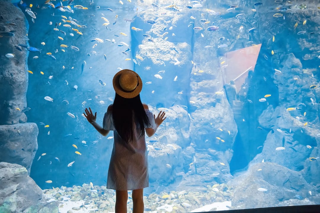 Aquarium Touraine