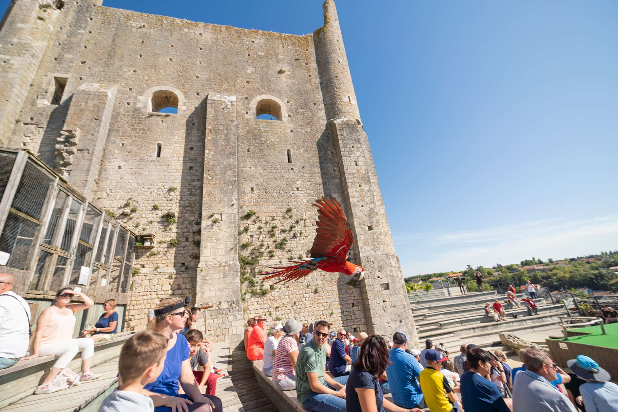 Les Géants du ciel à Chauvigny