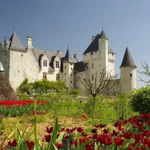 chateau-langeais