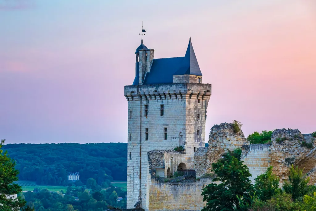 musée d'art et d'histoire - chinon