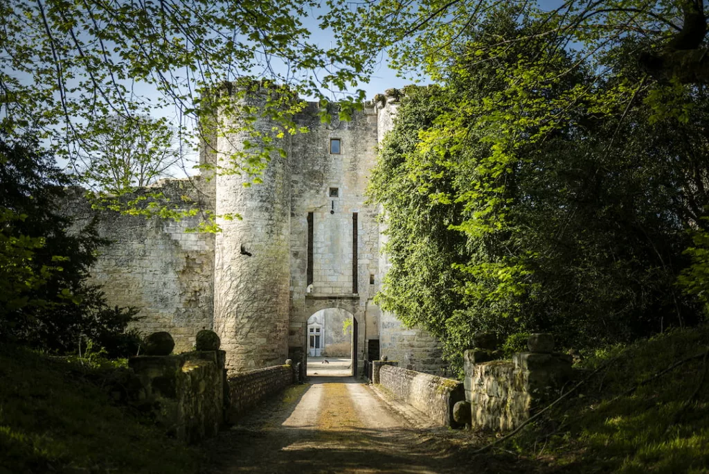 Chateau de Montreuil-Bonnin dans la Vienne