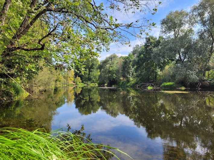 EAV-Les-champs-boises-Sablons-de-Corquoy