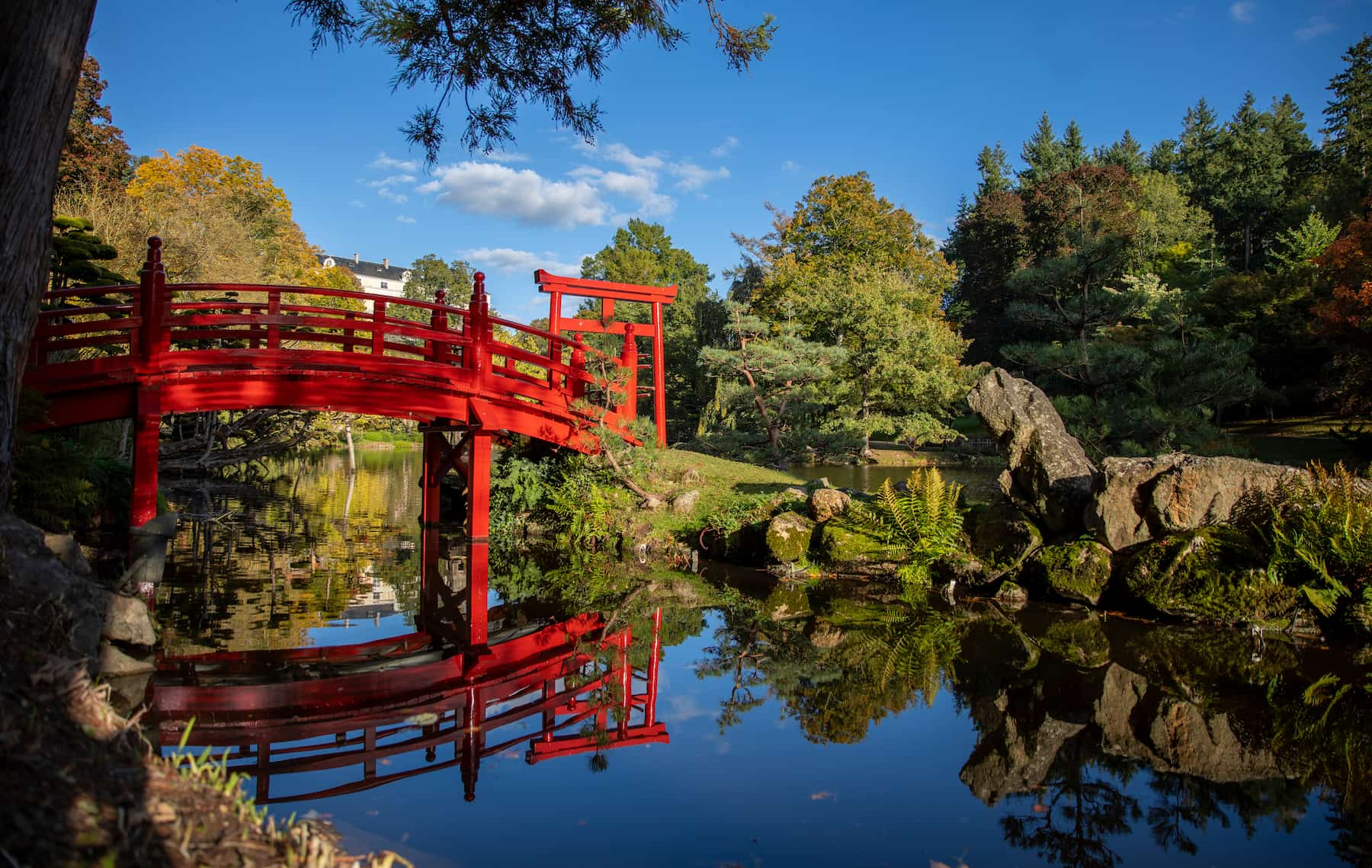 Parc Oriental de Maulévrier