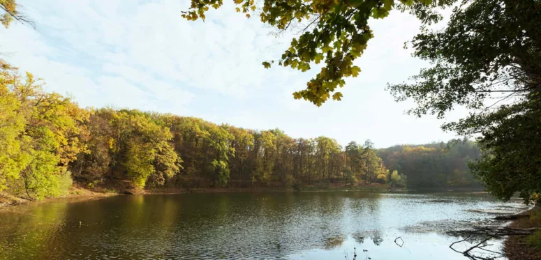 Restaurants en bord de Loire pour tous les budgets