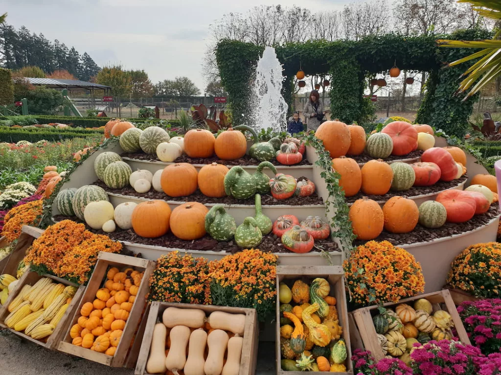 Extérieur du château de Cheverny en automne