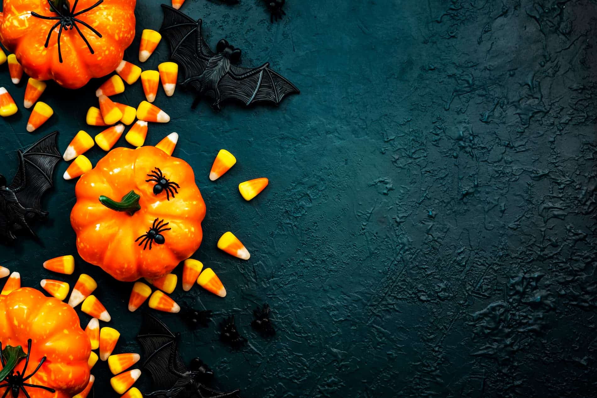 Photo de Citrouilles Halloween dans la Vallée de la Loire 2024