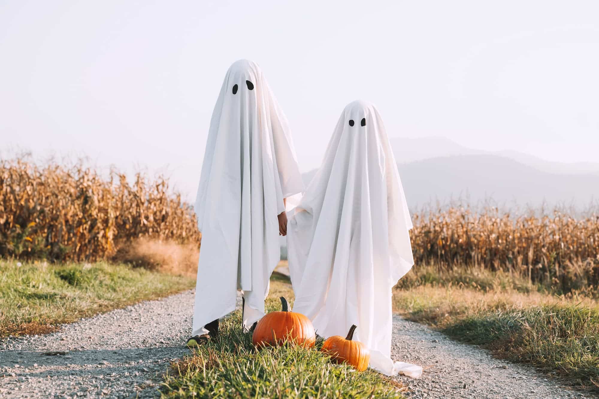 Photos d'enfants pour Halloween Halloween dans la Vallée de la Loire 2024