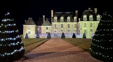 Noël au château de la Ferté St Aubin