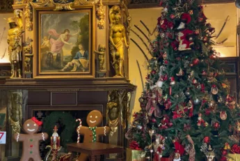 Noël 2024 au château de Cheverny - sapin de Noël, pains d'épices, décorations lumuineuses