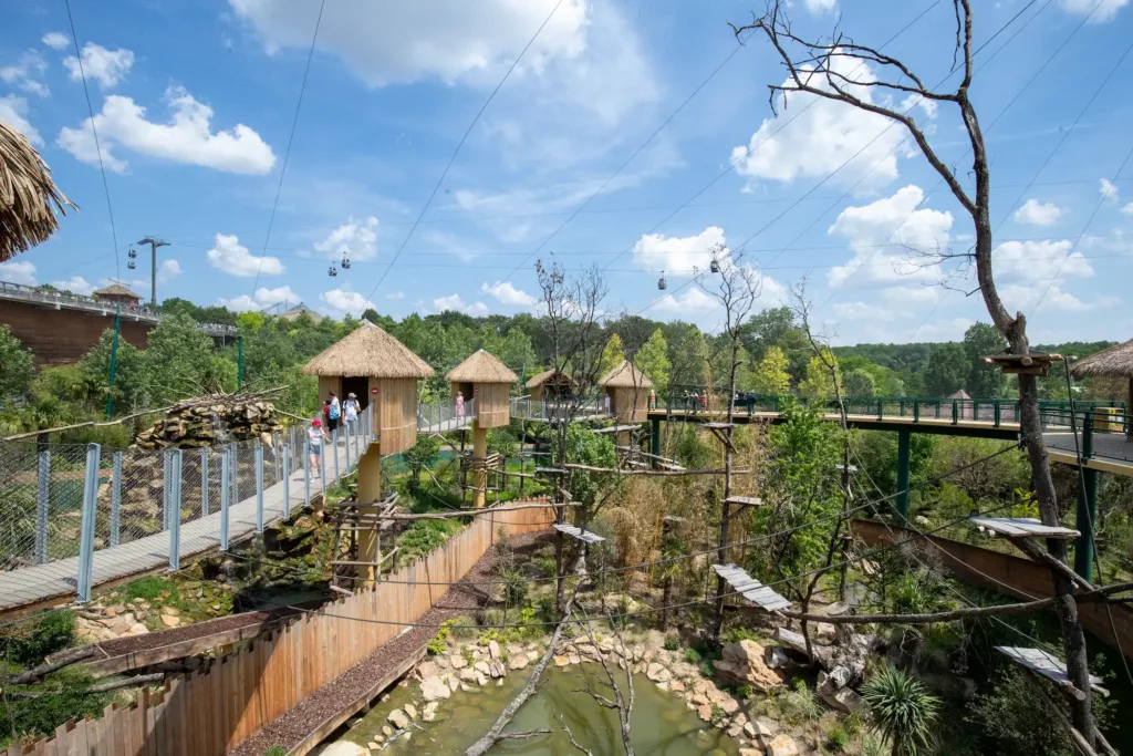 zoo-de-beauval-grande-voliere