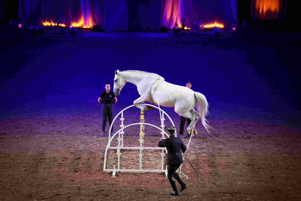 Les matinales du Cadre Noir de Saumur 2025 spectacle équestre 