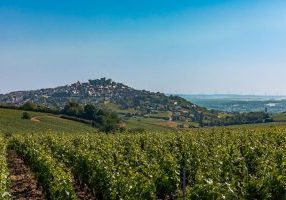 3-Gatien-Baron-HD-Chateau-de-Sancerre_3