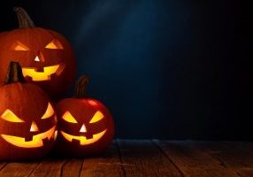 photo halloween pumpkins - envato Plongez dans l'ambiance d'Halloween dans le Loiret !